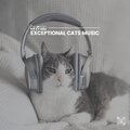 Cats Music Zone - Tom Needs Some Rest