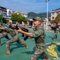 曾彭飚 - 英雄的九地坚兵