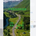 一抹茶香 - 没有留住你的温柔