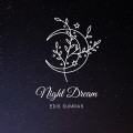 Night Dream