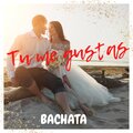 Bachatamania、18 Exitos 100% Bachatas - Bailé con mi ex - Bachata Versión (Remix)