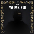 Muppet DJ - Ya Me Fui (Lollapalooza Edit)(Remix)