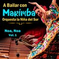marimba、Orquesta La Niña Del Sur - Cumbia del Sol