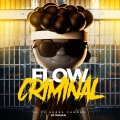 dj roman - Flow Criminal (Remix)