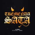 dj roman - Tremenda Sata (Remix)