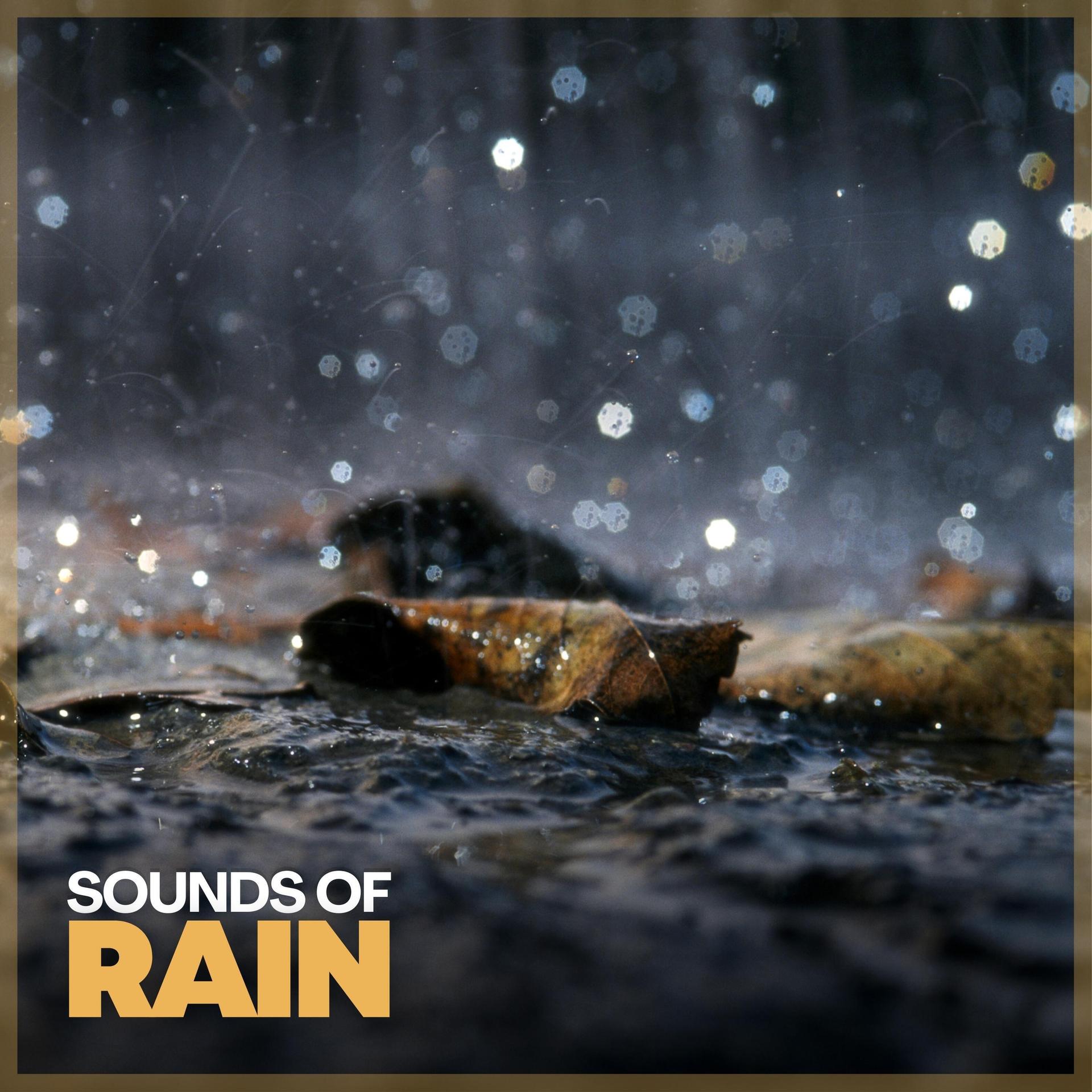 Rainforest Sounds - Mourning