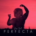 ROSE BEAT - Perfecta (Remix)