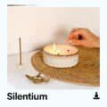 Meditative Music Guru - Absolute Zen Music for Sleeping Soundly, Pt. 5