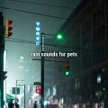 Sound Effects Library、Sound Effects Factory、Sound Effects - rain on car roof