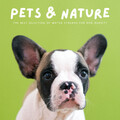 Dog Relaxing Zone、Dogs at Home、Dog Solitude - Serene Times