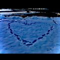 Tim G - The Pain of Love (Explicit)
