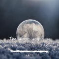 The winter warm sun (冬日暖阳)