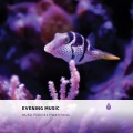 Evening Music. Music for Deep Watching