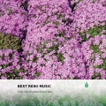Henry Mindfulness、Yao Zen、Relaxing Music Philocalm、Relaxing Zen Music Therapy、Relax Chillout Lounge、Relaxing Music For Sleeping、Chillout Cafe、Mellow Music Inc、Tantric Sex Background Music Experts、Sexy Chillout Music Cafe、Erotic Music Zone、Chakra Healing Music Academy、Binaural Healing、Healing Peace、H - Mystical Sensual Wind Mindfulness
