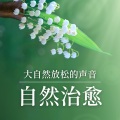 自然治愈 - 水自然放松声音, 让人放松和入睡, 大自然放松的声音, 瑜伽和休息