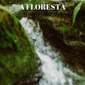 Calma、Relaxamento Soundscape、Sonidos de Ruido Blanco - Uma Caminhada Pelas Correntes Do Rio