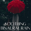 Binaural Beats Focus、Asian Zen Spa Music Experience、Recorder Rain - Light Sleepers