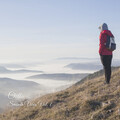 Chill: Smooth Vibes Vol. 1
