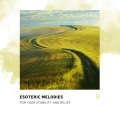 Binaural Healing、Relaxing Music Philocalm、Susan Lili Calm、Chakra Healing Music Academy、Relaxing Music For Sleeping、Chillout Cafe、Relaxing Zen Music Therapy、Healing Peace、Baby Naptime、Baby Sleep Baby Sounds、Healing Oriental Spa Collection、Relax Chillout Lounge、Baby Sleep、Healing Zen Meditation、Asian  - Bliss Midnight in the Forest