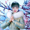 菩提雨凡 - 有生之恋