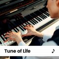 Piano Relaxation - Conquest Piano
