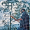 monty sharma - A Journey of Bird