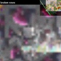 ctrl_alt_rock、Little Barrie - Tamed (feat. Little Barrie)