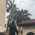 Lil Slixk 777 - Cities Finest (Explicit)