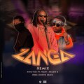 Zanga Remix (feat. Toast & Krazie G) [Explicit]