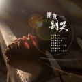 凉风 - 朋友别哭 (Live)