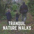 Tranquil Nature Walks