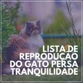 Lista de Reprodução do Gato Persa Tranquilidade