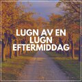 Lugn Av en Lugn Eftermiddag