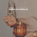 Avslappnande Musik - Anglalika roster