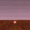 Foxtails - space orphan