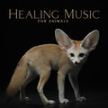 Animal Melody Wizard - Dog Care