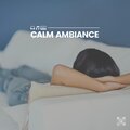 Soothing Music Academy - Youthful