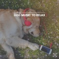 Dog Music - Music for a Calm Hound, Pt. 4