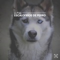 Dog Music - No Yo-yo