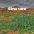 The Nature Soundscapes - Soundscapes of Nature Melodies, Pt. 42