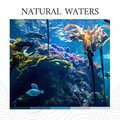 Sundays By The Ocean - Calm Sea