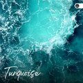 Worldwide Nature Studios - Acid Rain