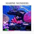 Ocean Sounds - Glistening Shores Beyond the Beach