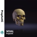 Prophetic - Scull