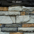 Feel Magnet Top 22