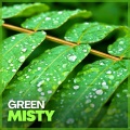 Rainfall Meditations - Coffee Hour