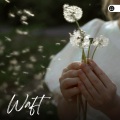 Waft