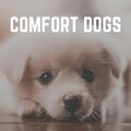 Music for Calming Dogs - A Dog's Escape Sound Track
