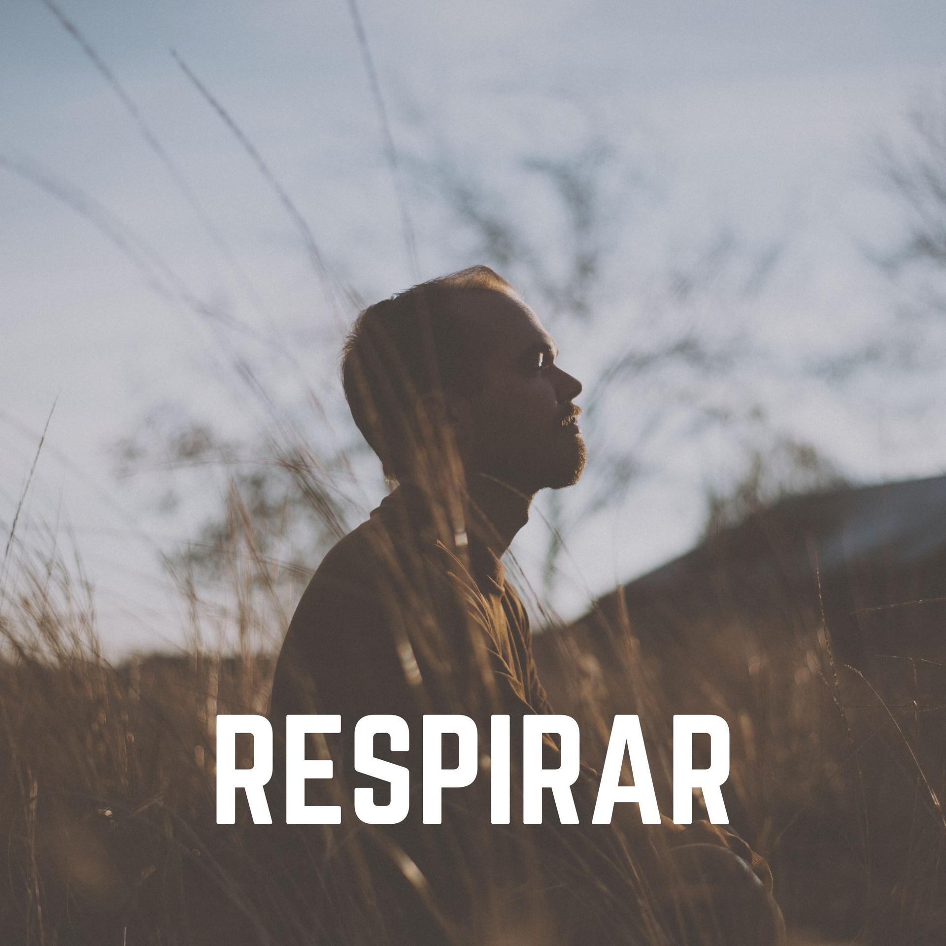 Música de relajación profunda - Denominador Común