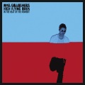 Noel Gallagher's High Flying Birds、Noel Gallagher - Do The Damage